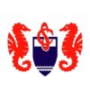 Logo do Parceiro